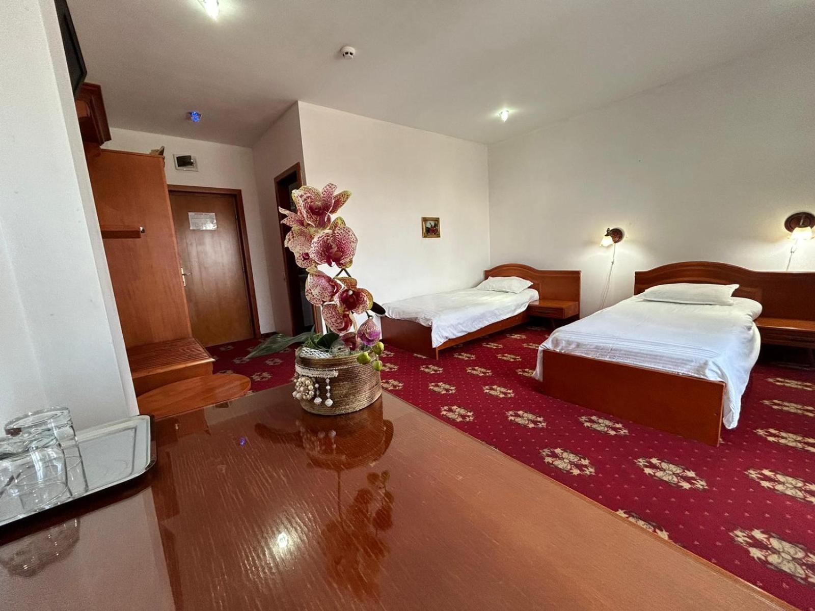 Hotel Coral Satu Mare Exteriér fotografie